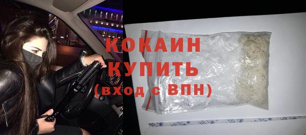 прущие грибы Майский
