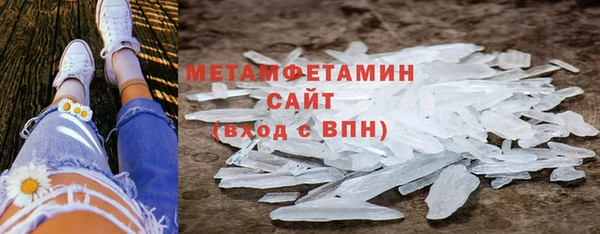 прущие грибы Майский