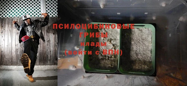 прущие грибы Майский