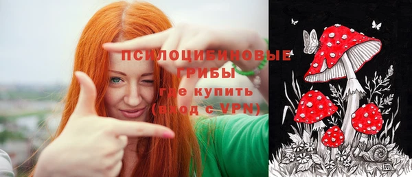 прущие грибы Майский
